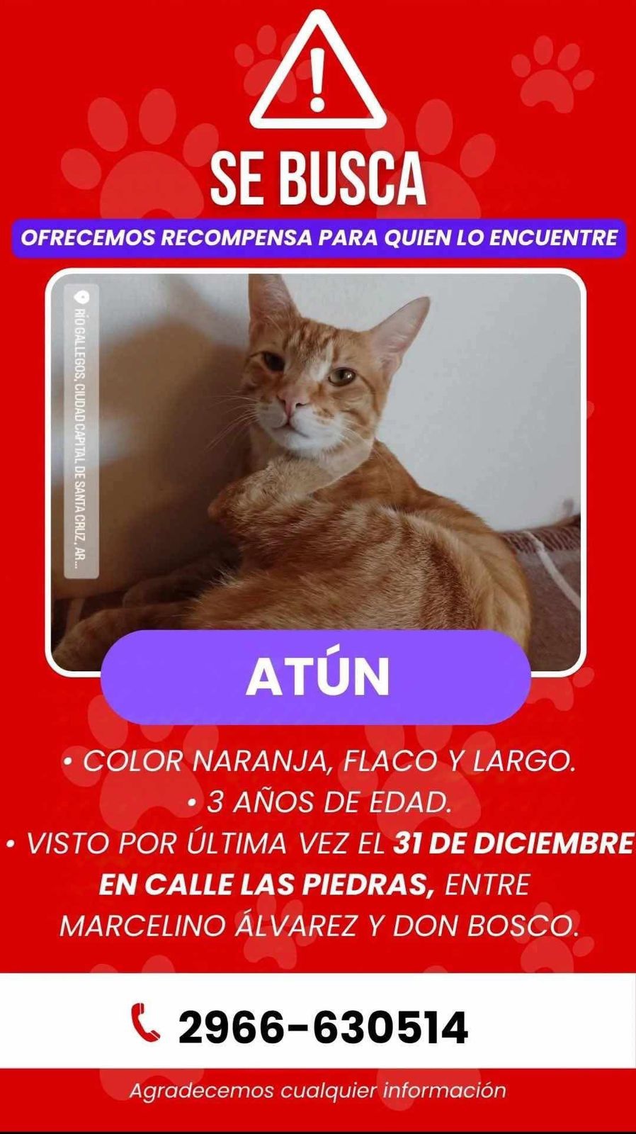 ATUNPERDIDO1