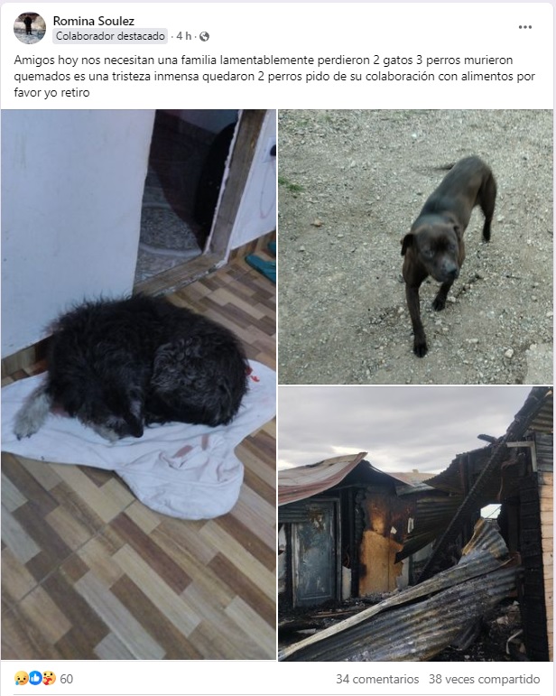 DONACIONESMASCOTAS