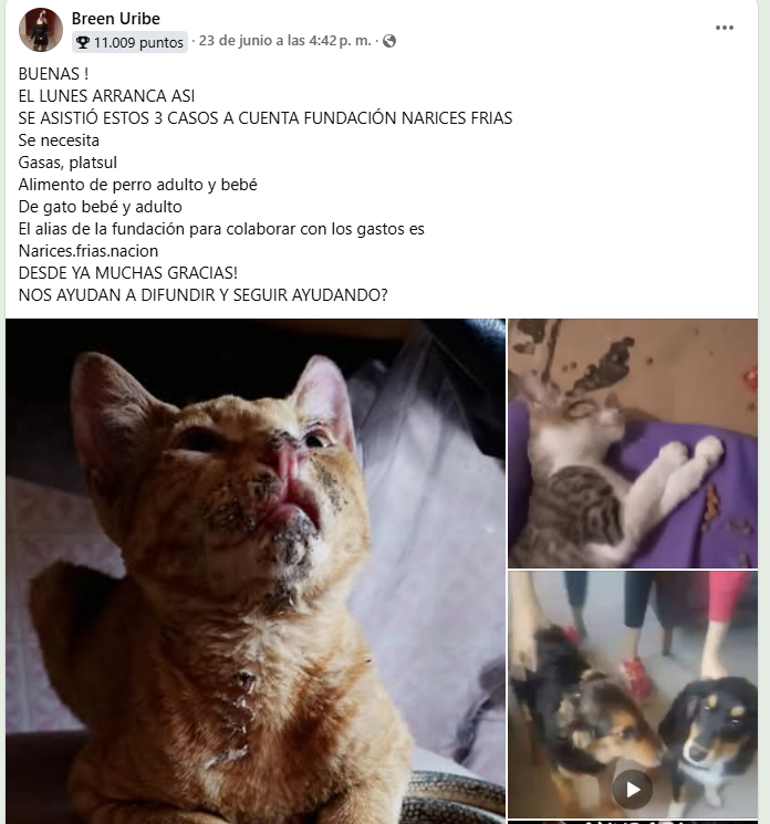 FUNDACIONNARICESFRIAS.png