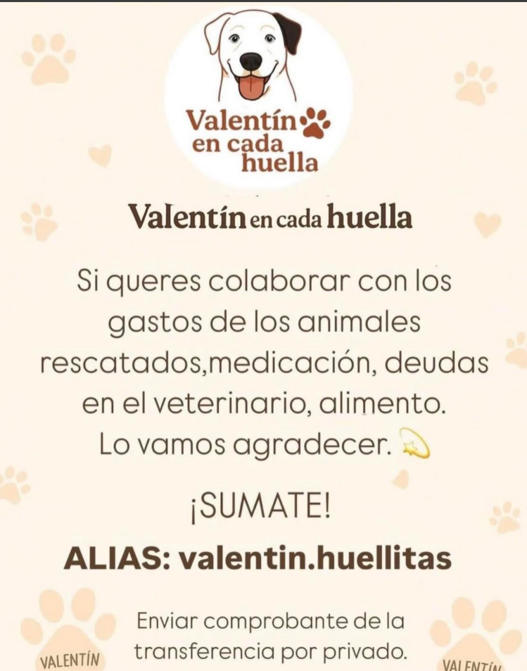 FUNDACIONVALENTIN.png