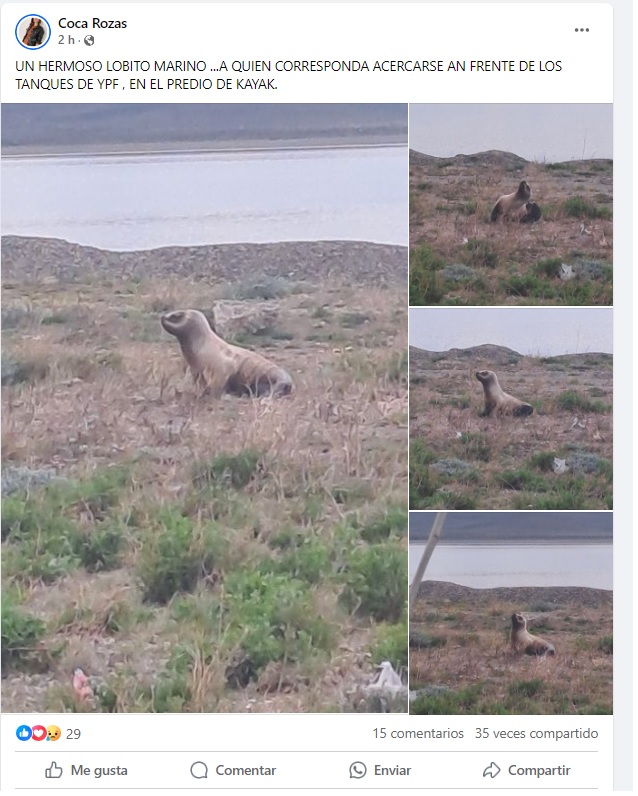 LOBITO