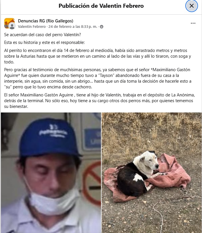 MALTRATADOR