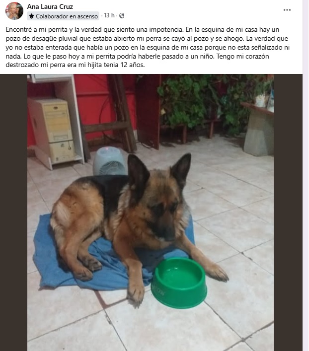 PERRITAPOZO1