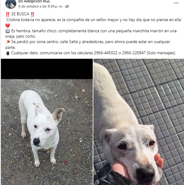PUBLICACIONBUSQUEDACRISTINA