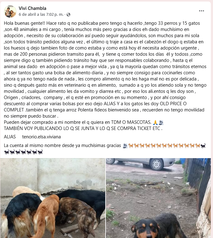 VIVIANATENORIOPROTECCIONISTA.png